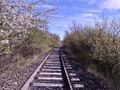 2022-04-19 52 9 07 Train tracks.jpg