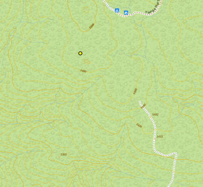Topo map showing the point.