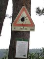 2011-08-31 52 9 Ticks.JPG