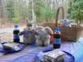 Apr 11 Easter Picnic 052.jpg