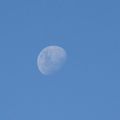 2008-06-14 Moon.jpg