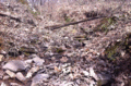 2013-04-07 40 -77 Upstream low res.gif