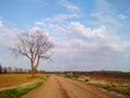 2012-03-16 35 -90 Dirt Road.JPG