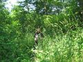 2012-07-04 45 -122 kate in tall grass.jpg