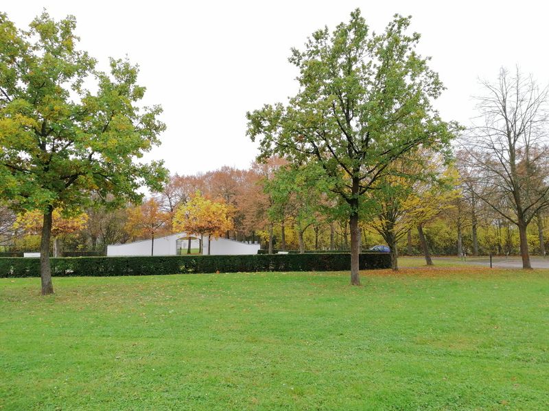 File:2024-11-14 48 11 cemetery.jpg