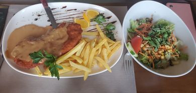 "schnitzel with brown cream sauce and french fries; also with side salad"