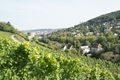 2011-09-24 49 9 view from the vineyards.jpg