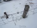 2012-02-29 45 minus76 fence.jpg