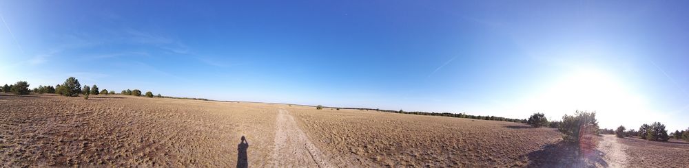 Desert Panorama