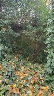 "concrete wall covered in an arch of ivy"