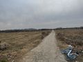The unnamed road 2022-01-14 31 121.jpg