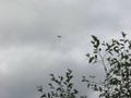 2008 08 29 47 -122 flyover.jpg