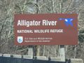 02 21 09 Alligator River NWR 016.jpg