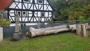 "wooden bench labeled as Babbelbank"