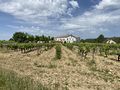 2022-05-15 41 1 penedes.JPG