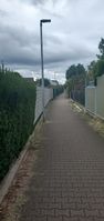 "paved footway surrounded by hedges and fences"