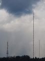2012-01-13 48 8 masts.JPG