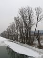 2012-02-09 48 9 Neckar 2.JPG