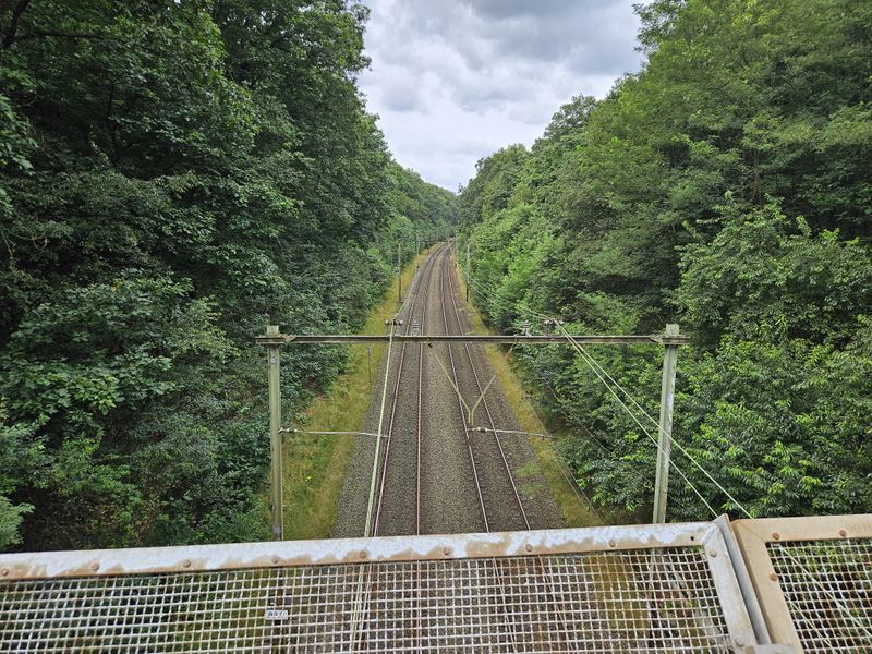 File:2024-08-04 51 5 Train tracks.jpeg