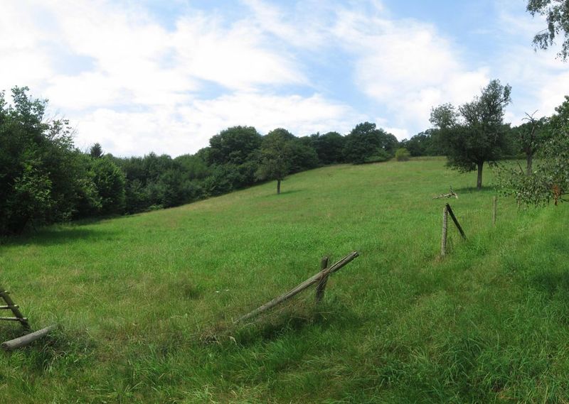 File:2009-07-04 49 8 pano fence.jpg